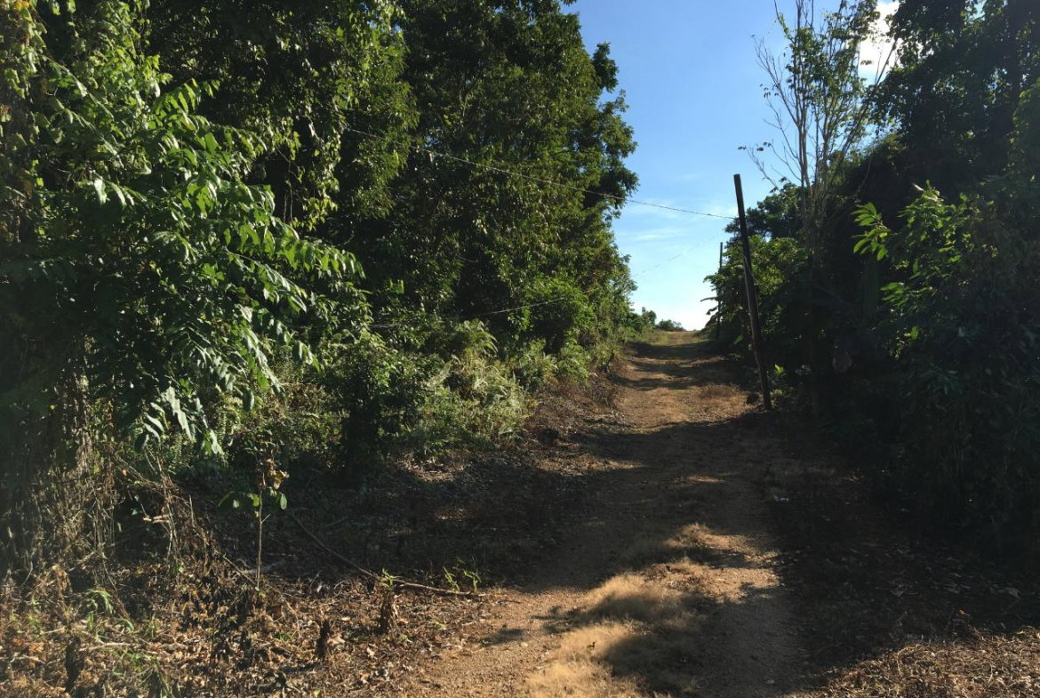 Sixth image of Commodore Donnington in Long Bay, Portland, Jamaica - property is For Sale