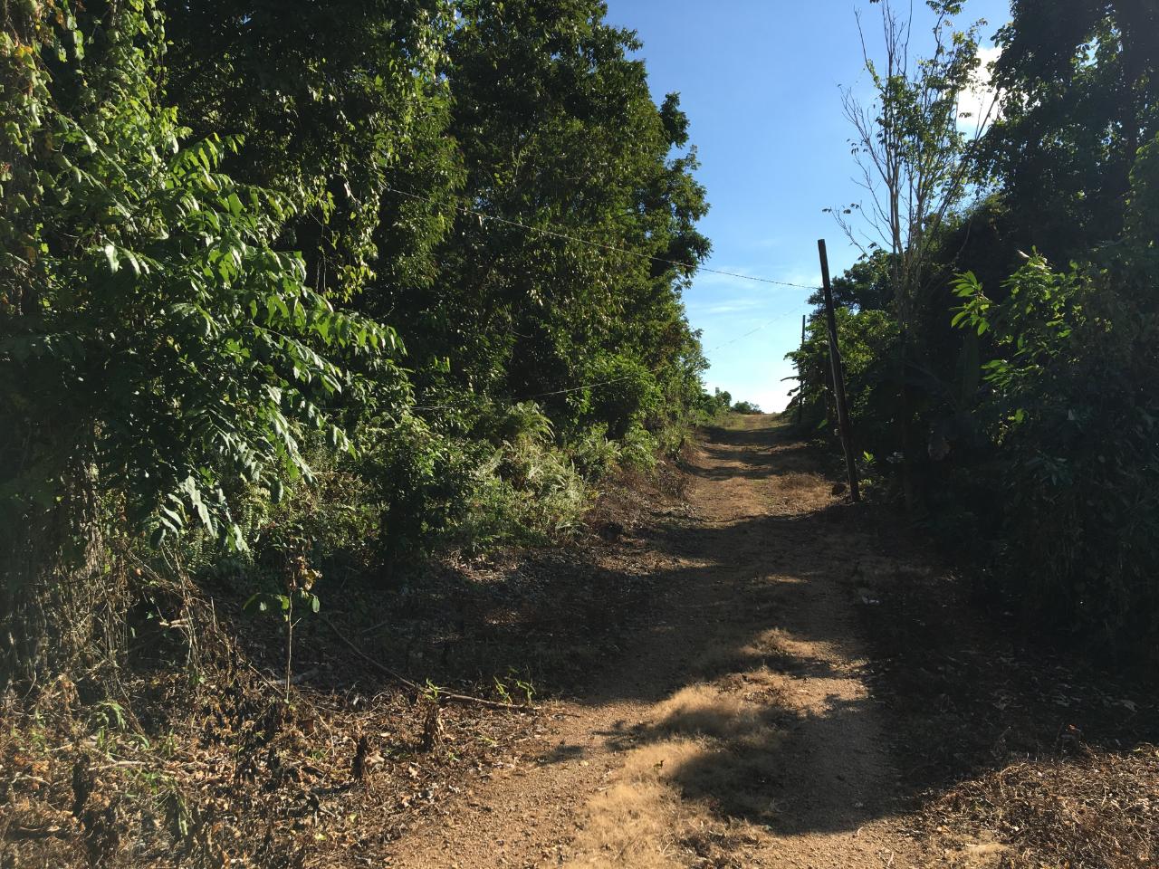 Prime-3-Acre-Residential-Development-Land-for-Sale-in-Portland-Jamaica Sixth image of Commodore Donnington in Long Bay, Portland, Jamaica - property is For Sale