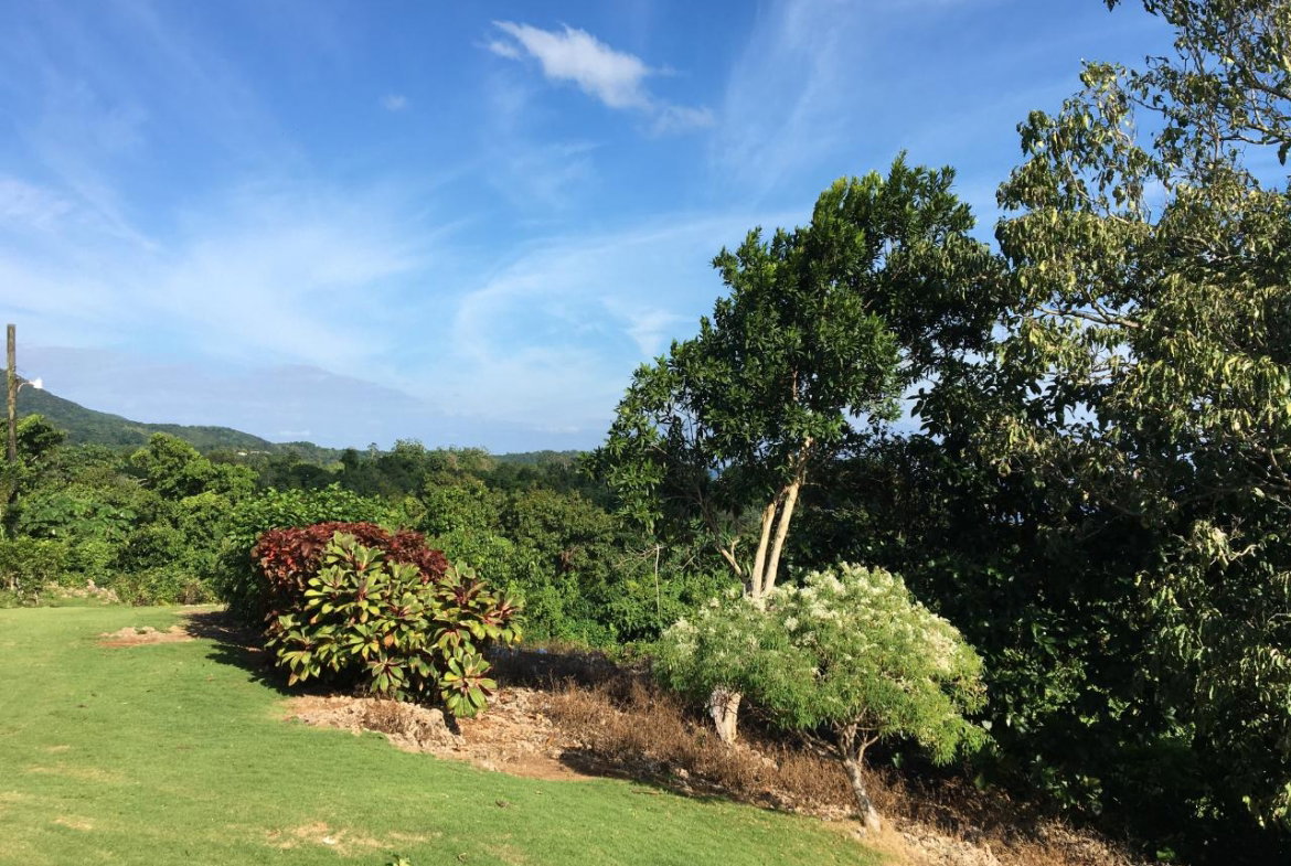 Seventh image of Commodore Donnington in Long Bay, Portland, Jamaica - property is For Sale