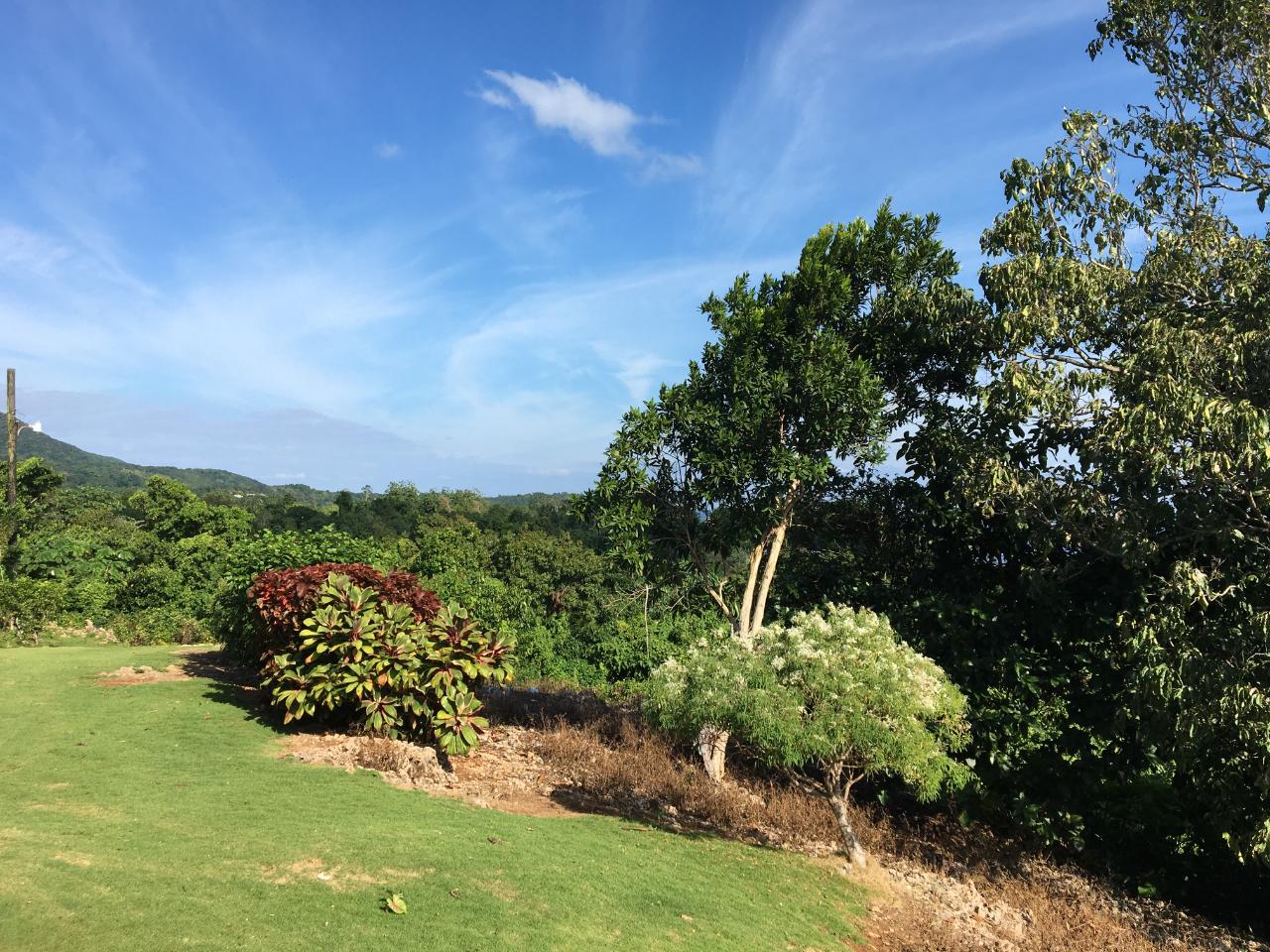 Prime-3-Acre-Residential-Development-Land-for-Sale-in-Portland-Jamaica Seventh image of Commodore Donnington in Long Bay, Portland, Jamaica - property is For Sale