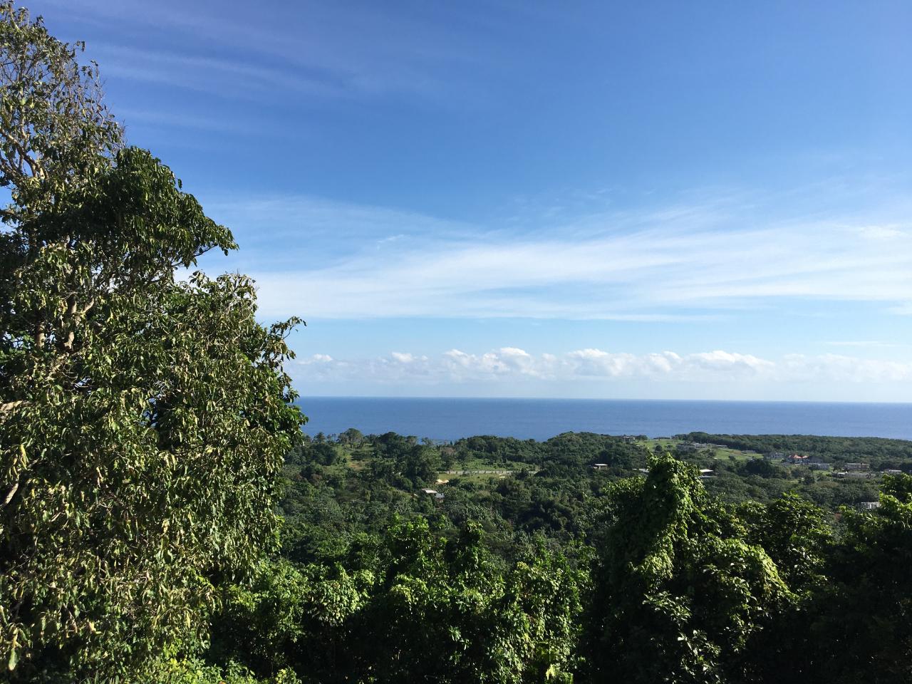 Prime-3-Acre-Residential-Development-Land-for-Sale-in-Portland-Jamaica Eighth image of Commodore Donnington in Long Bay, Portland, Jamaica - property is For Sale