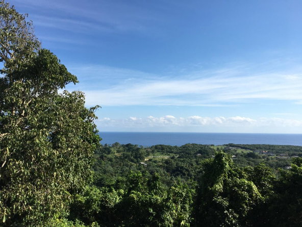 Eighth image of Commodore Donnington in Long Bay, Portland, Jamaica - property is For Sale
