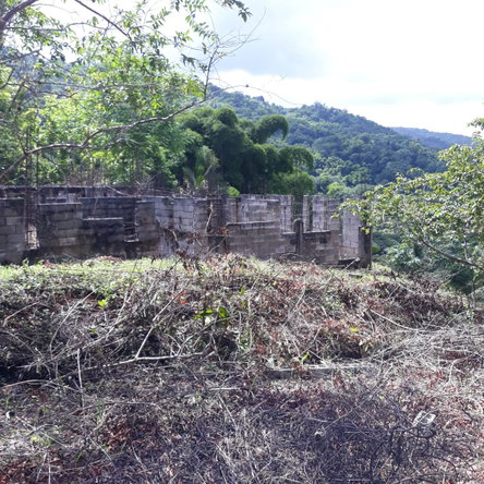 Third image of Lot # 1547 Sheckles, Clarendon in Frankfield, Clarendon, Jamaica - property is For Sale