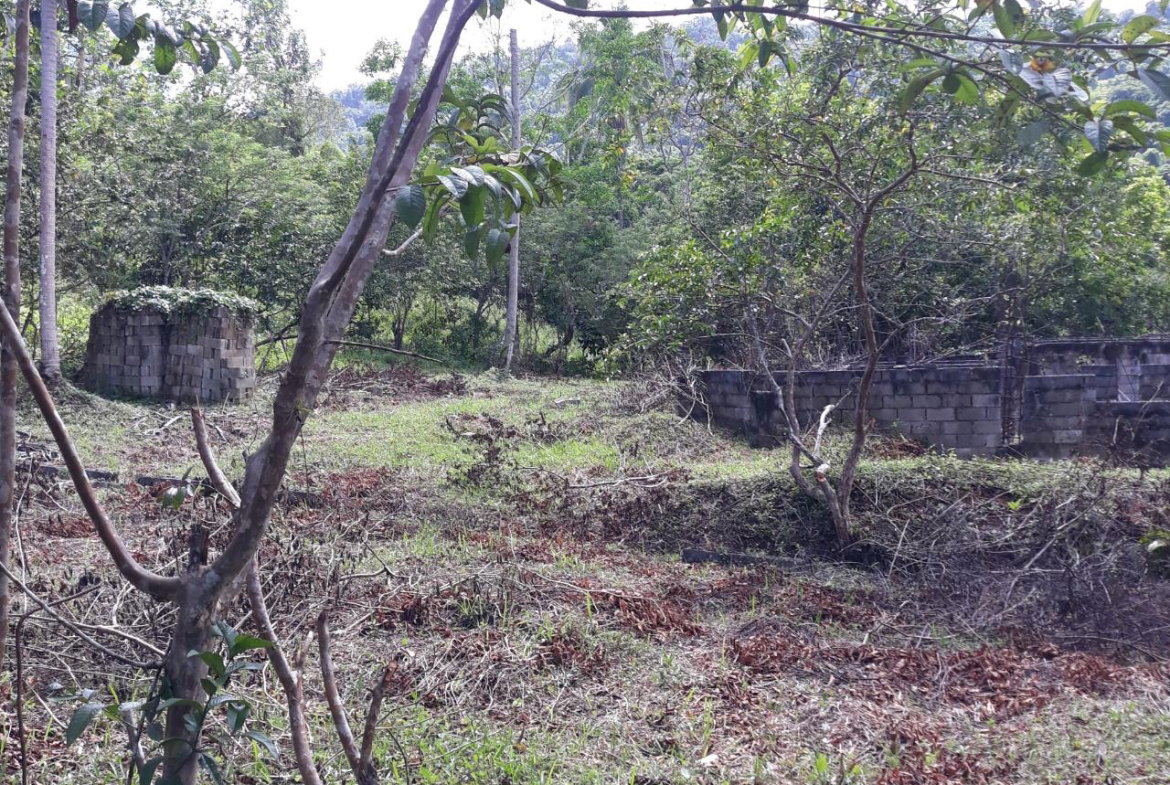 Fourth image of Lot # 1547 Sheckles, Clarendon in Frankfield, Clarendon, Jamaica - property is For Sale