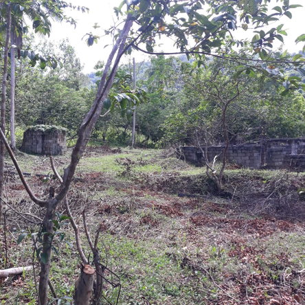 Fourth image of Lot # 1547 Sheckles, Clarendon in Frankfield, Clarendon, Jamaica - property is For Sale