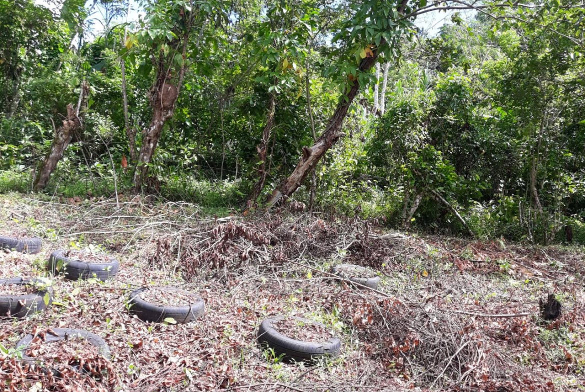 Fifth image of Lot # 1547 Sheckles, Clarendon in Frankfield, Clarendon, Jamaica - property is For Sale