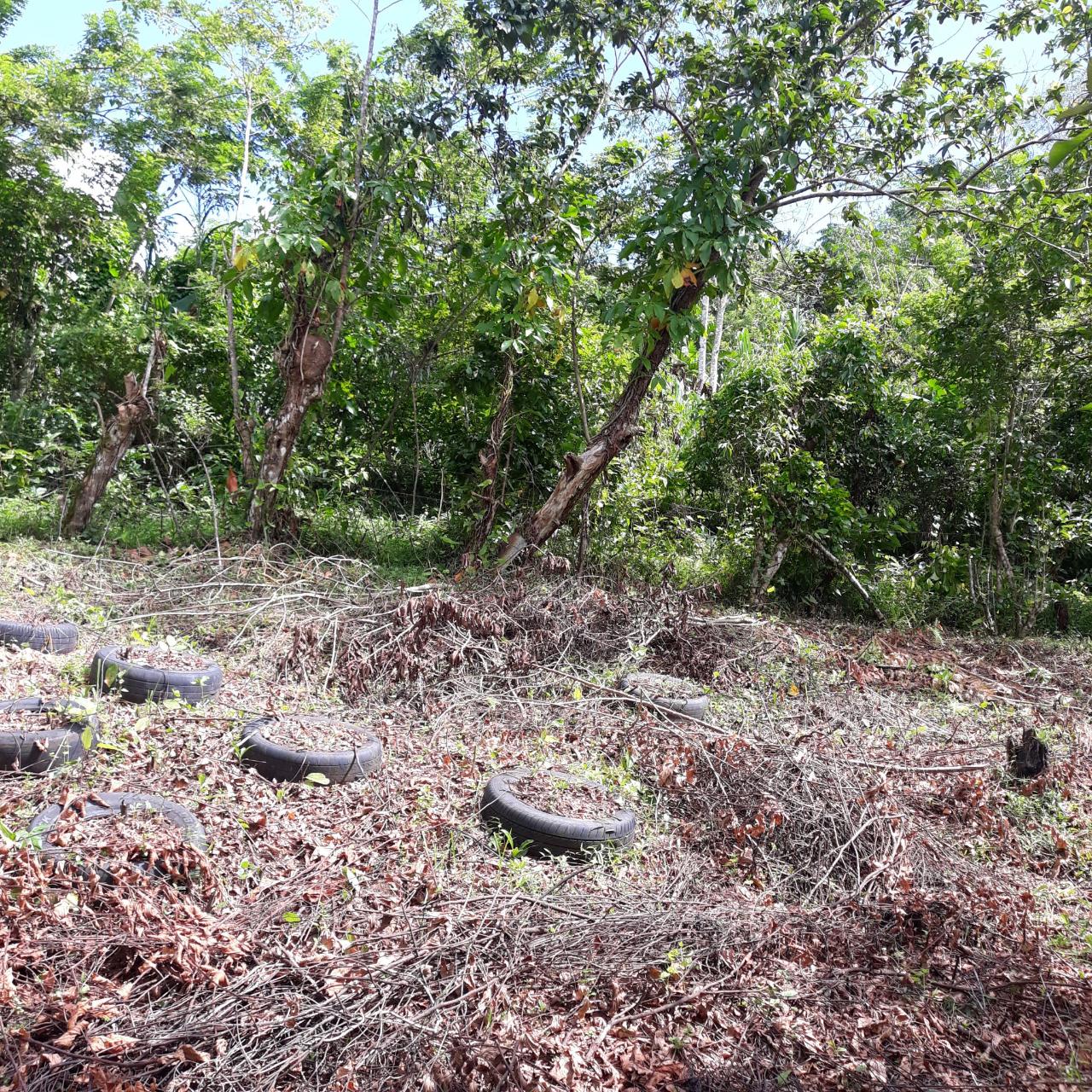 Fifth image of Lot # 1547 Sheckles, Clarendon in Frankfield, Clarendon, Jamaica - property is For Sale