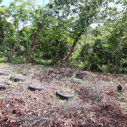 Fifth image of Lot # 1547 Sheckles, Clarendon in Frankfield, Clarendon, Jamaica - property is For Sale