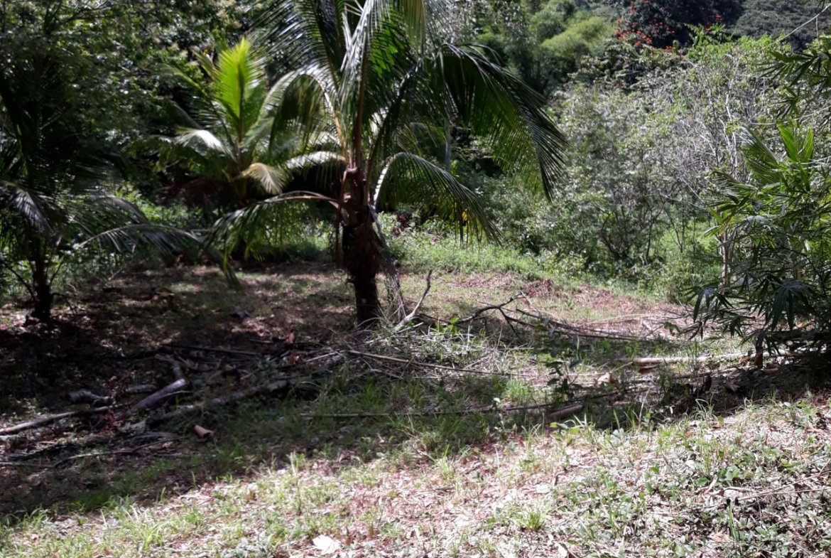 Sixth image of Lot # 1547 Sheckles, Clarendon in Frankfield, Clarendon, Jamaica - property is For Sale