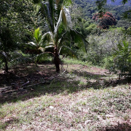 Sixth image of Lot # 1547 Sheckles, Clarendon in Frankfield, Clarendon, Jamaica - property is For Sale