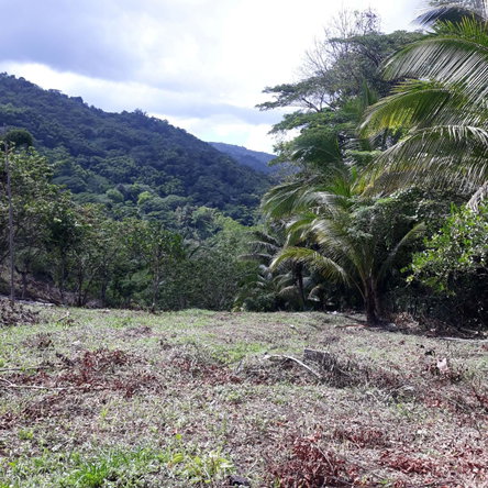 Eighth image of Lot # 1547 Sheckles, Clarendon in Frankfield, Clarendon, Jamaica - property is For Sale