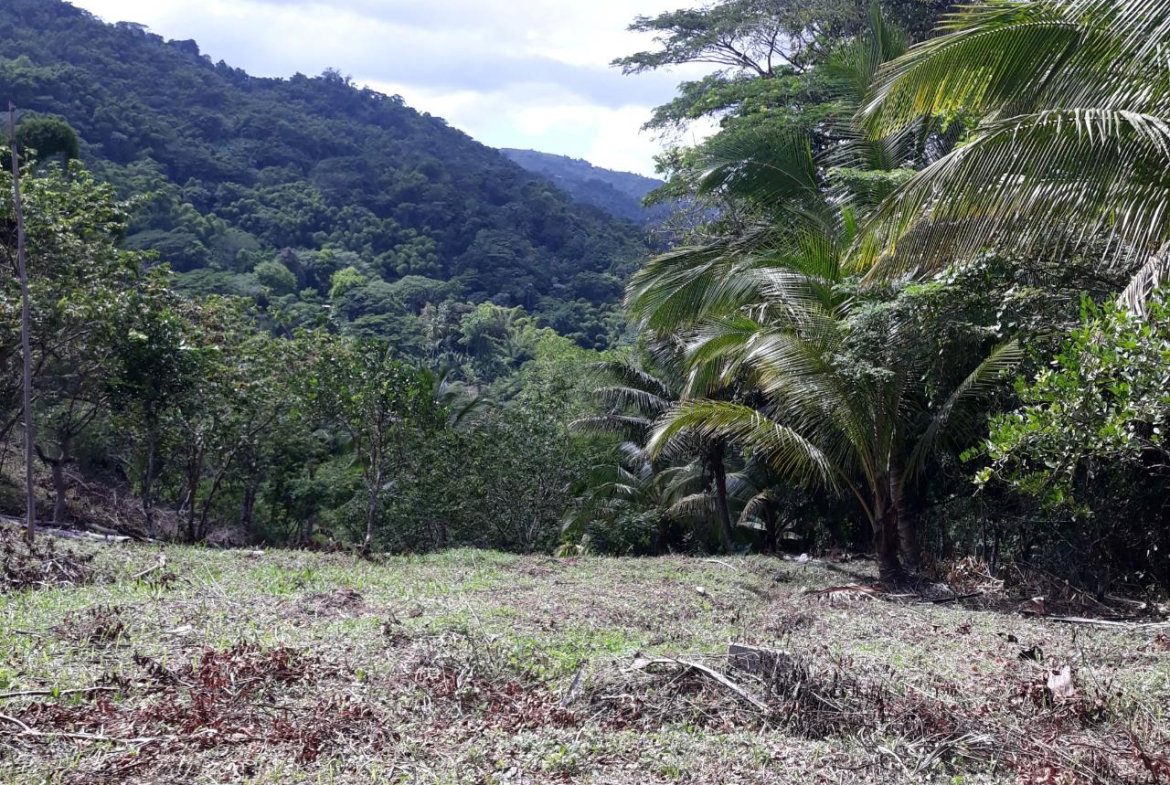 Tenth image of Lot # 1547 Sheckles, Clarendon in Frankfield, Clarendon, Jamaica - property is For Sale