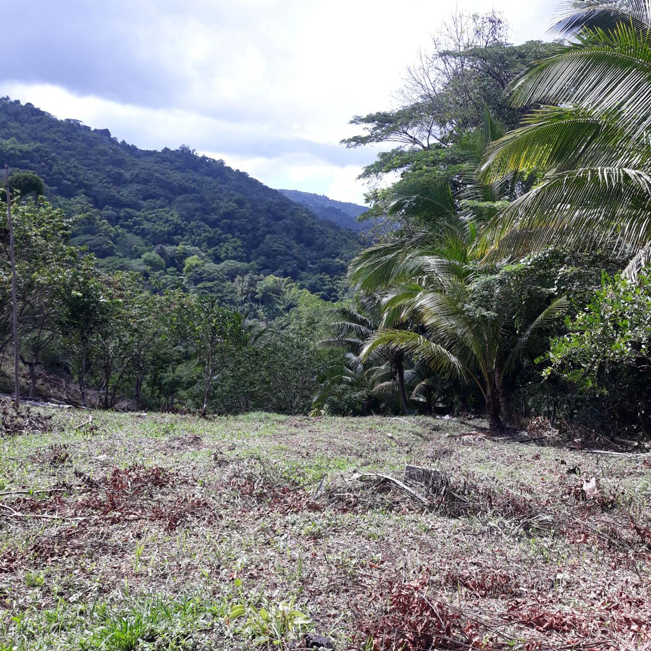 Tenth image of Lot # 1547 Sheckles, Clarendon in Frankfield, Clarendon, Jamaica - property is For Sale