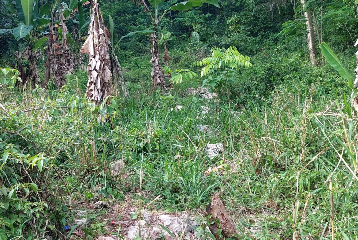 Third image of 52 Cherry Cl. Maverly Mounta in Red Hills, St. Andrew, Jamaica - property is For Sale