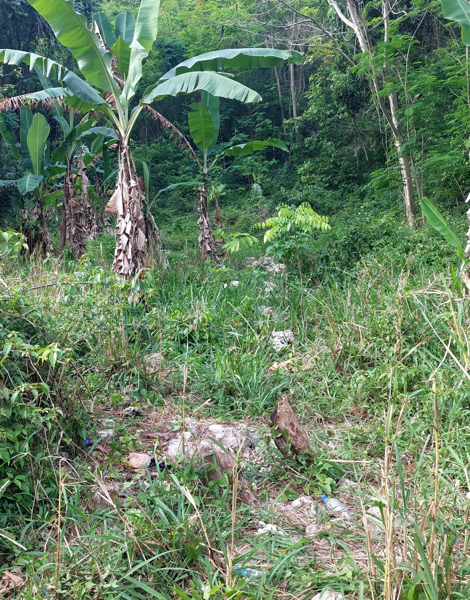Prime-3-Acres-of-Development-Land-for-Sale-in-Red-Hills-Jamaica Third image of 52 Cherry Cl. Maverly Mounta in Red Hills, St. Andrew, Jamaica - property is For Sale