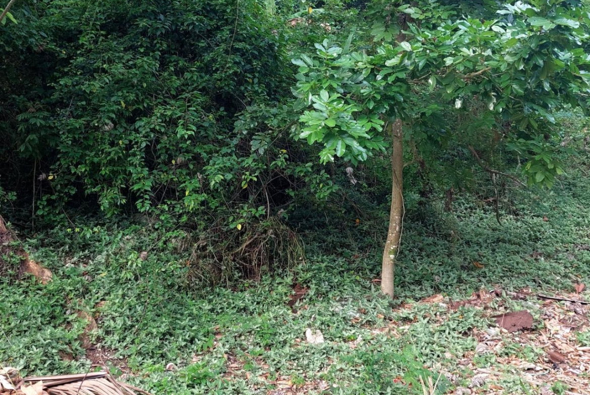 Fourth image of 52 Cherry Cl. Maverly Mounta in Red Hills, St. Andrew, Jamaica - property is For Sale