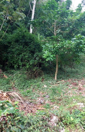 Fourth image of 52 Cherry Cl. Maverly Mounta in Red Hills, St. Andrew, Jamaica - property is For Sale