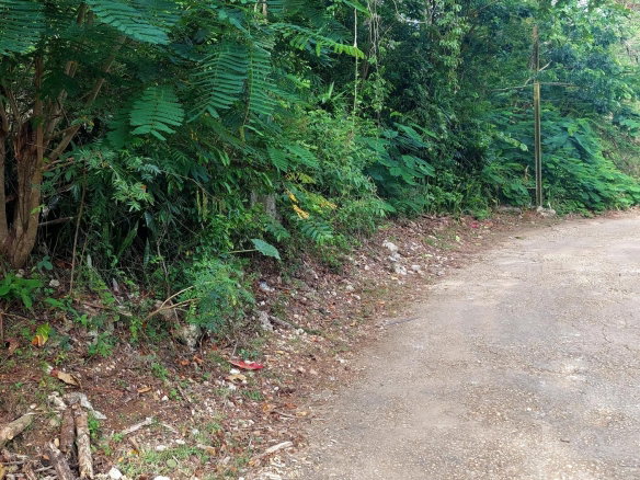 First image of 52 Cherry Cl. Maverly Mounta in Red Hills, St. Andrew, Jamaica - property is For Sale