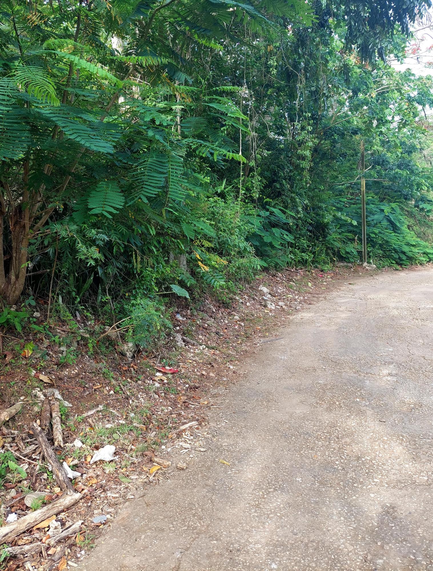 Prime-3-Acres-of-Development-Land-for-Sale-in-Red-Hills-Jamaica First image of 52 Cherry Cl. Maverly Mounta in Red Hills, St. Andrew, Jamaica - property is For Sale