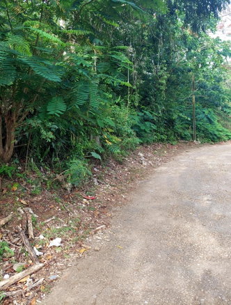 First image of 52 Cherry Cl. Maverly Mounta in Red Hills, St. Andrew, Jamaica - property is For Sale