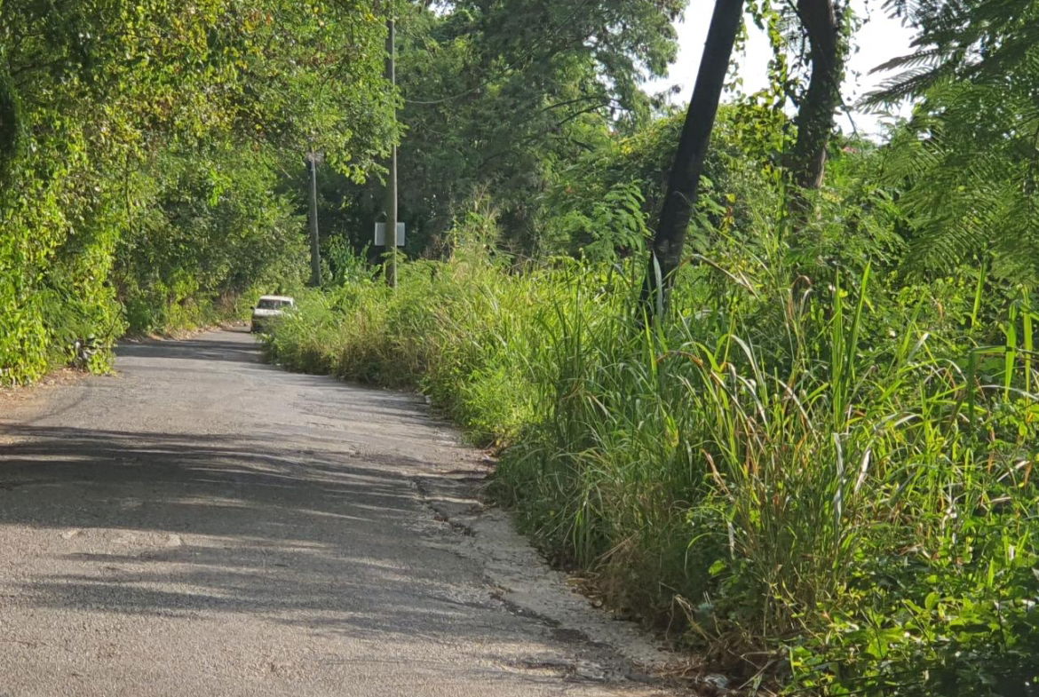 Third image of 102 Mannings Hill Road, Kings in Kingston 19, St. Andrew, Jamaica - property is For Sale