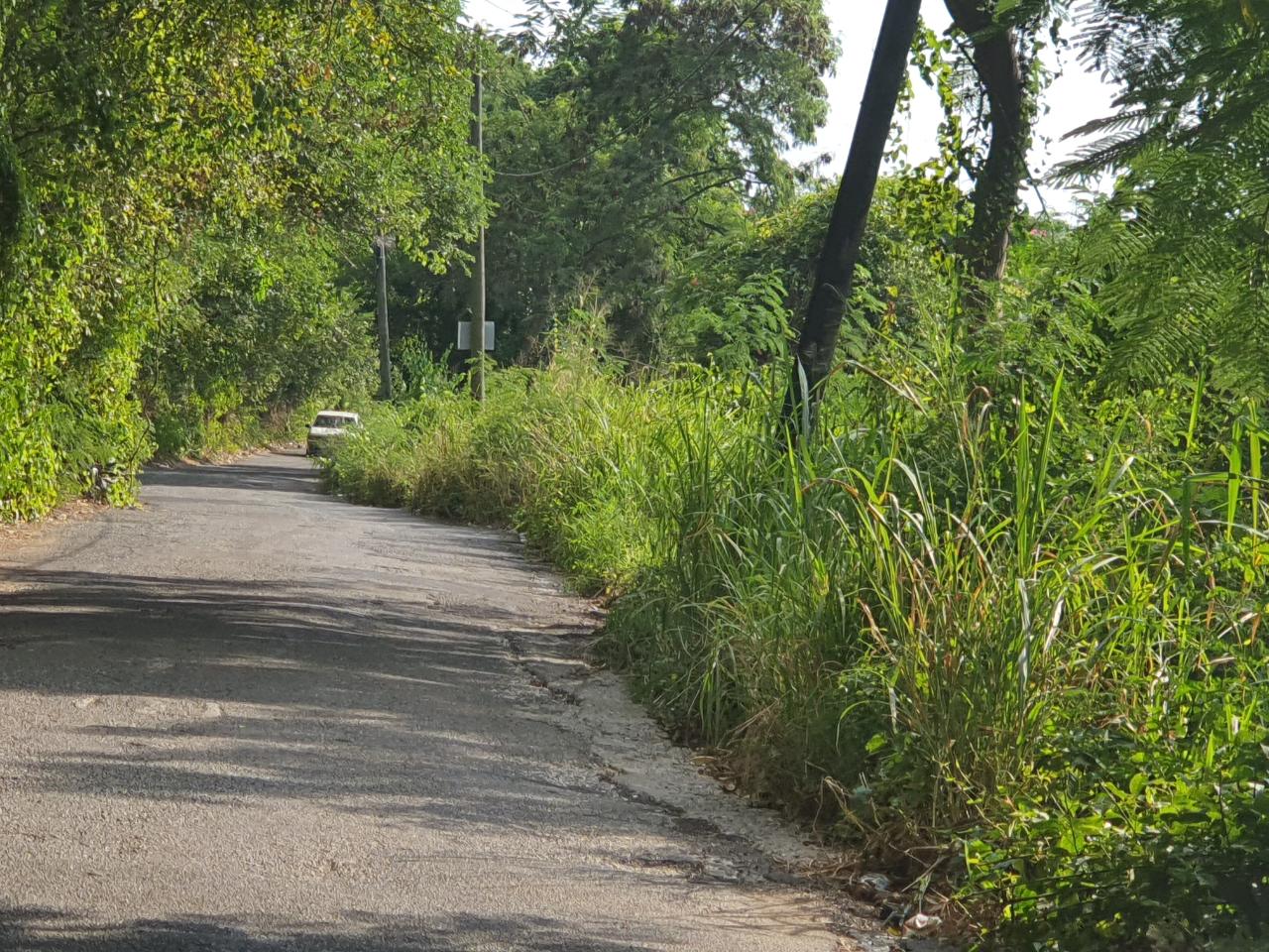 Third image of 102 Mannings Hill Road, Kings in Kingston 19, St. Andrew, Jamaica - property is For Sale