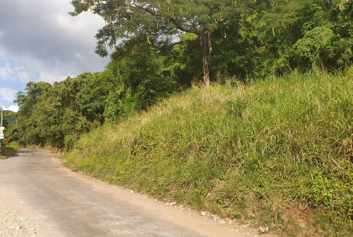 Fourth image of 102 Mannings Hill Road, Kings in Kingston 19, St. Andrew, Jamaica - property is For Sale