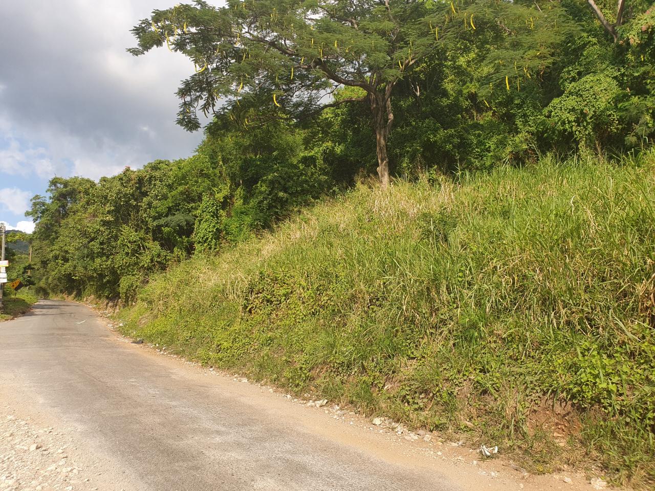 Fourth image of 102 Mannings Hill Road, Kings in Kingston 19, St. Andrew, Jamaica - property is For Sale