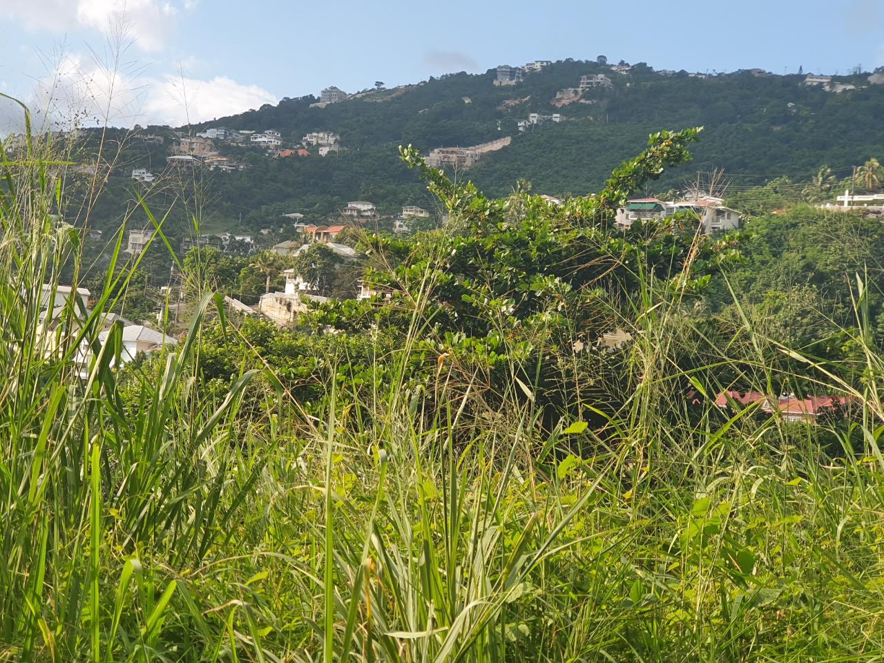 Sixth image of 102 Mannings Hill Road, Kings in Kingston 19, St. Andrew, Jamaica - property is For Sale