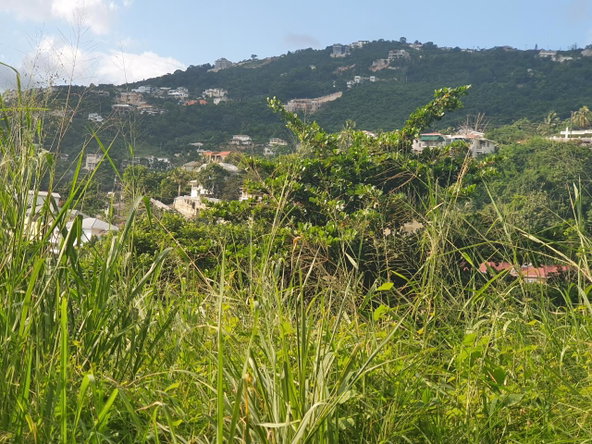 Sixth image of 102 Mannings Hill Road, Kings in Kingston 19, St. Andrew, Jamaica - property is For Sale