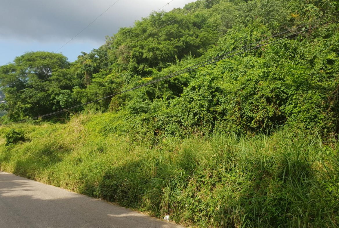 Seventh image of 102 Mannings Hill Road, Kings in Kingston 19, St. Andrew, Jamaica - property is For Sale