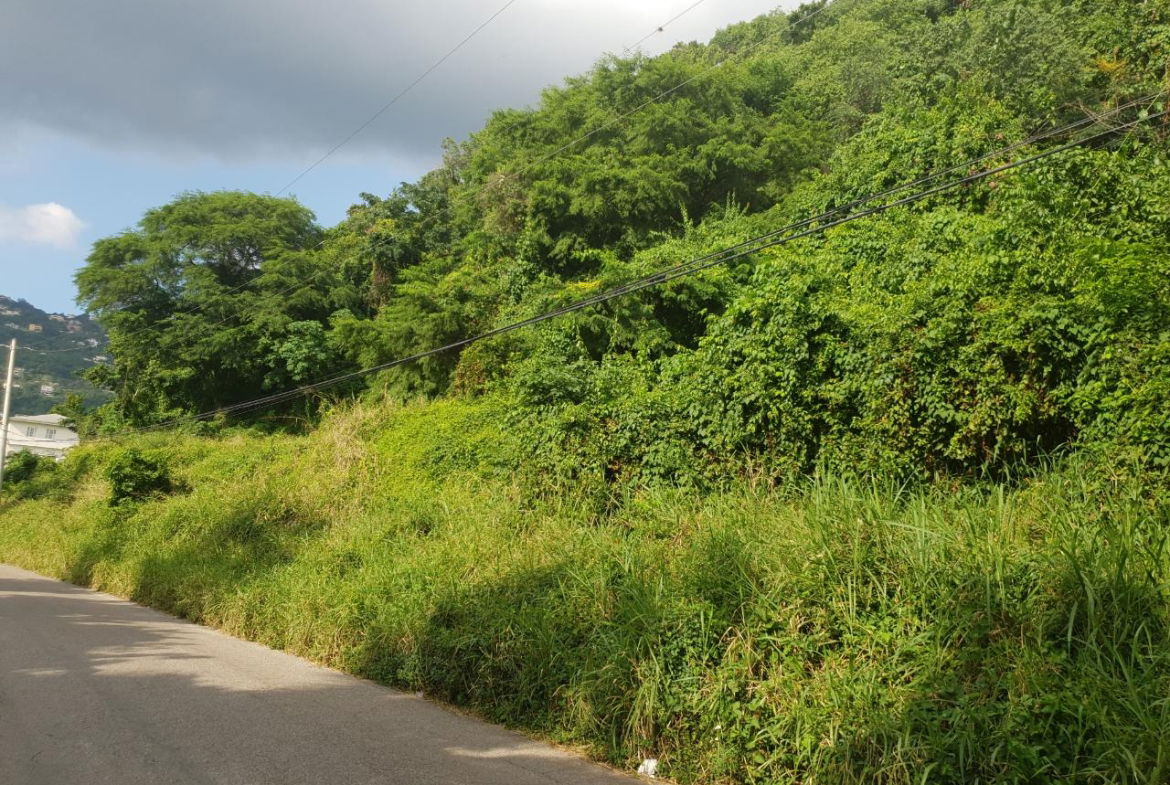 Eighth image of 102 Mannings Hill Road, Kings in Kingston 19, St. Andrew, Jamaica - property is For Sale