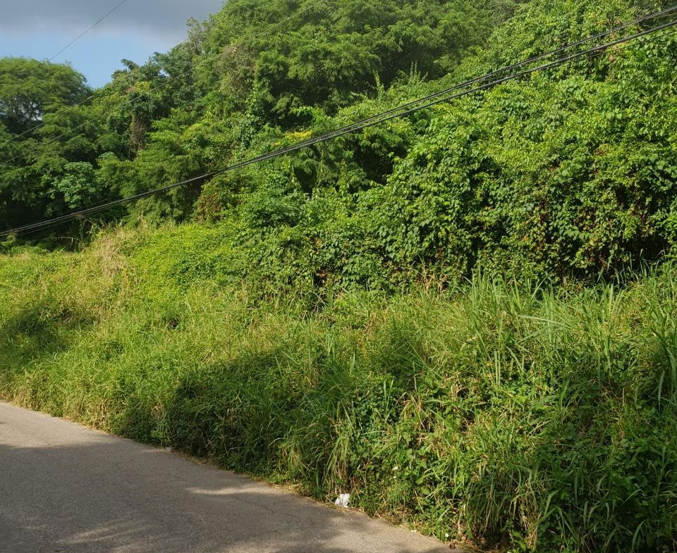 Ninth image of 102 Mannings Hill Road, Kings in Kingston 19, St. Andrew, Jamaica - property is For Sale