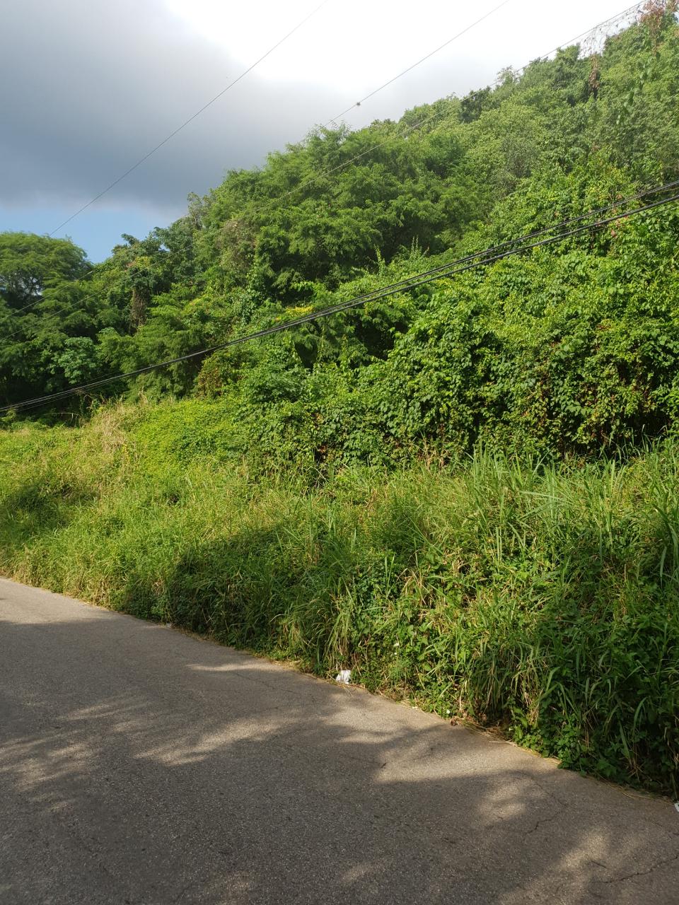 Ninth image of 102 Mannings Hill Road, Kings in Kingston 19, St. Andrew, Jamaica - property is For Sale