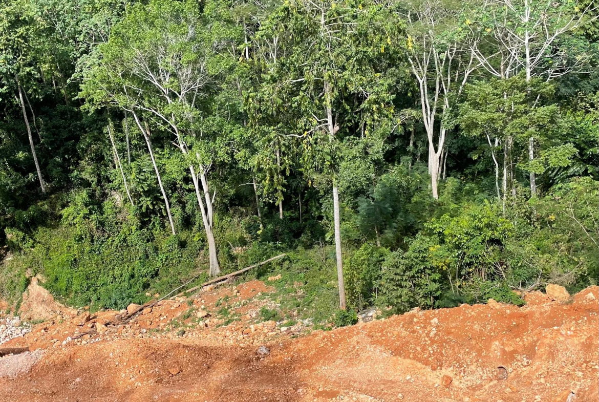 Second image of Old Stony Hill Road in STONY HILL, St. Andrew, Jamaica - property is For Sale