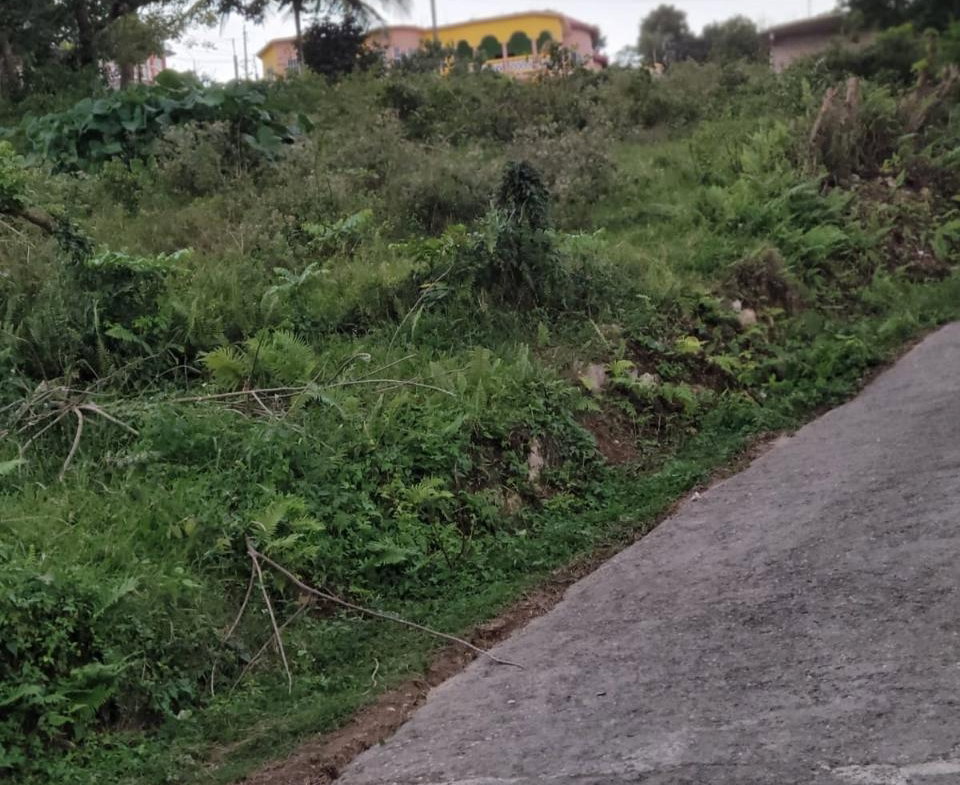 Fourth image of Colegate in Ocho Rios, St. Ann, Jamaica - property is For Sale