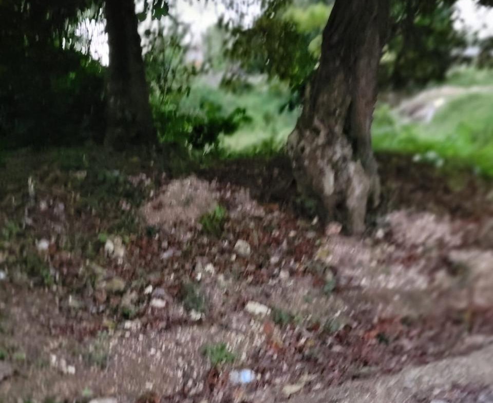 Eighth image of Colegate in Ocho Rios, St. Ann, Jamaica - property is For Sale