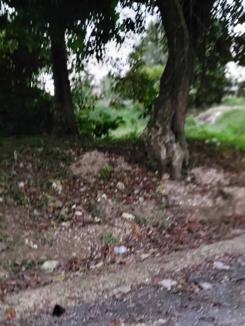 Prime-34-Acre-Residential-Lot-for-Sale-in-St.-Ann-Jamaica Eighth image of Colegate in Ocho Rios, St. Ann, Jamaica - property is For Sale