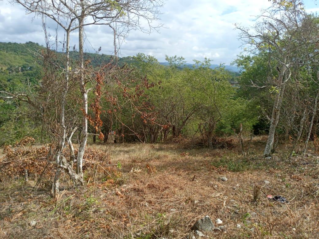 Second image of 7 Cotton Tree Heights, Chil in Anchovy, St. James, Jamaica - property is For Sale