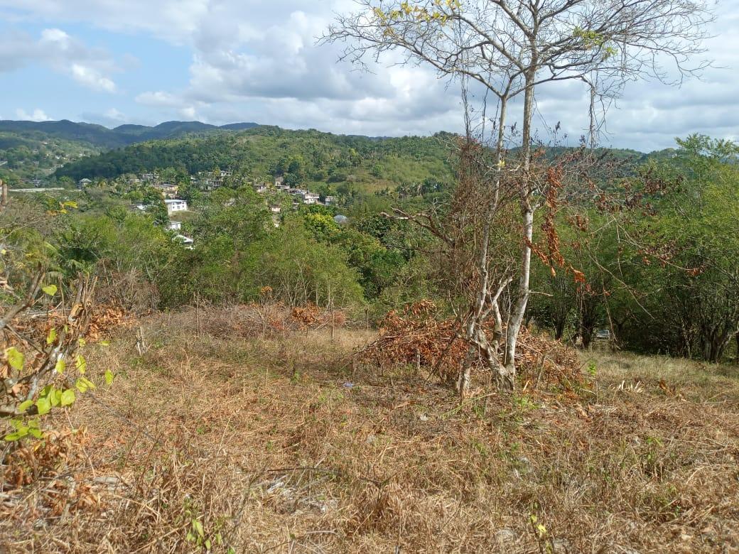 Third image of 7 Cotton Tree Heights, Chil in Anchovy, St. James, Jamaica - property is For Sale