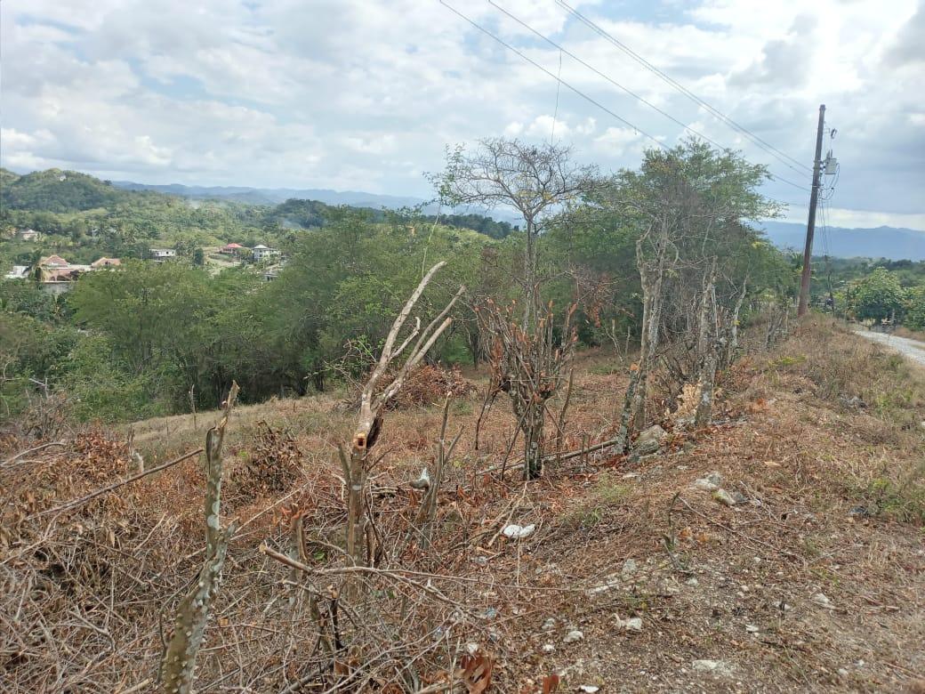 Fourth image of 7 Cotton Tree Heights, Chil in Anchovy, St. James, Jamaica - property is For Sale