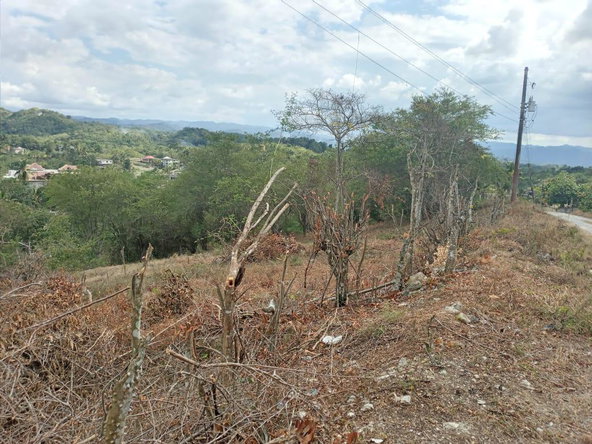 Fourth image of 7 Cotton Tree Heights, Chil in Anchovy, St. James, Jamaica - property is For Sale