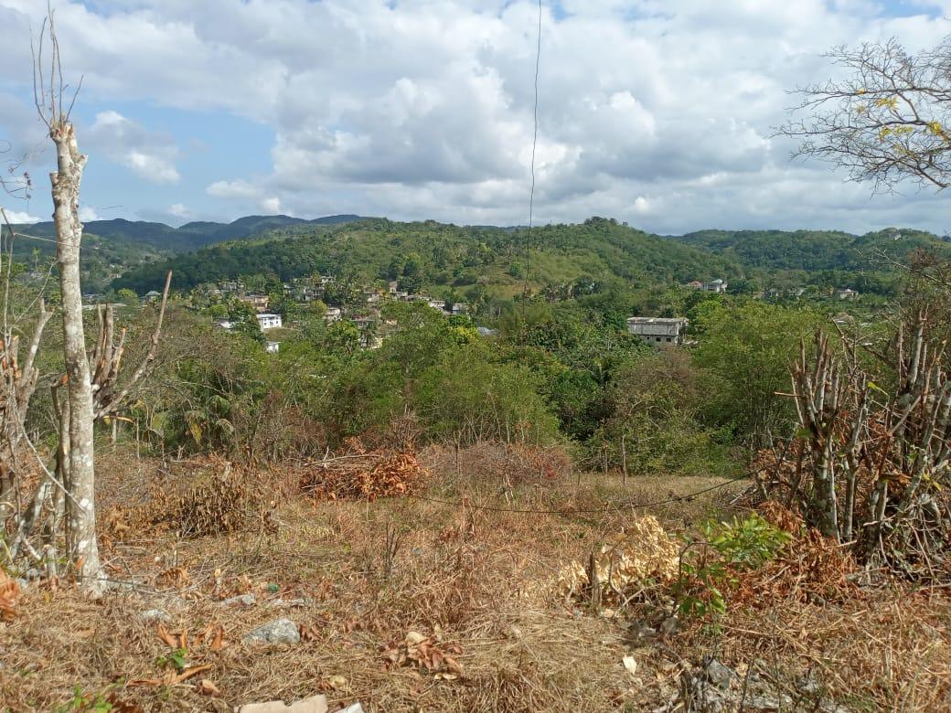 Fifth image of 7 Cotton Tree Heights, Chil in Anchovy, St. James, Jamaica - property is For Sale