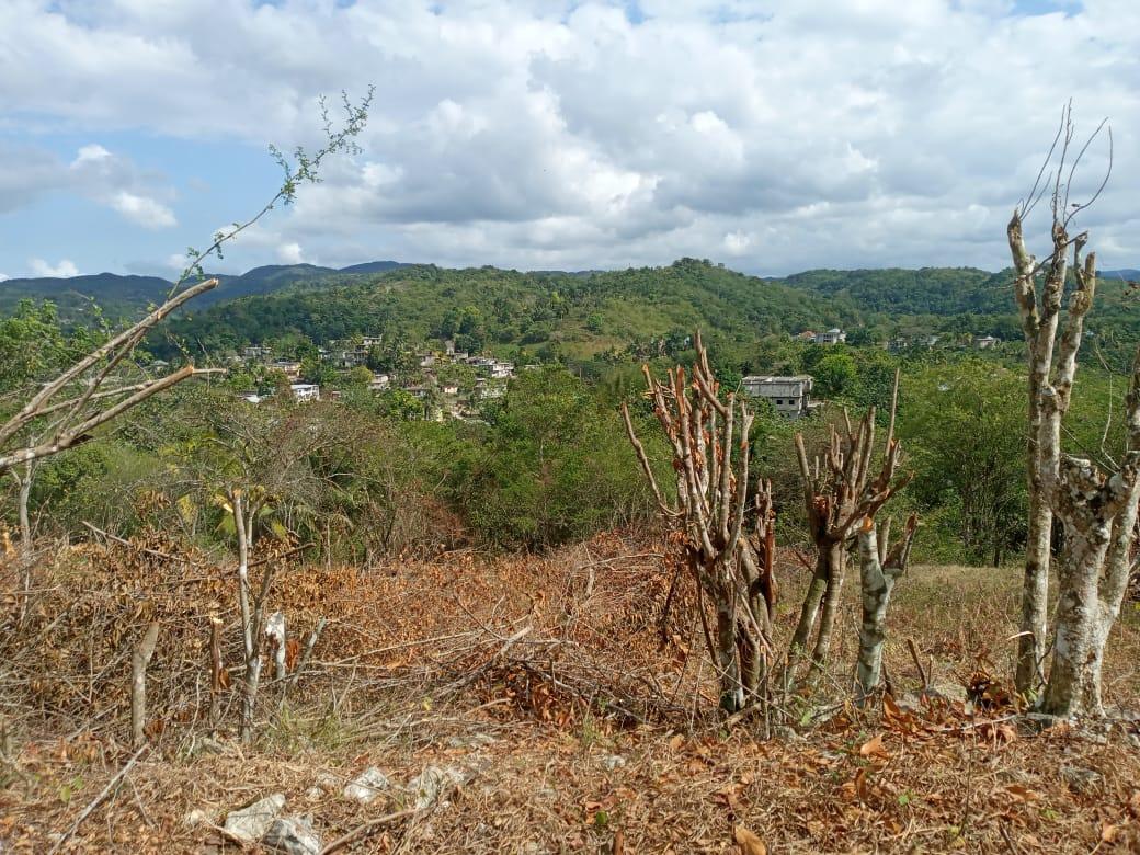 Sixth image of 7 Cotton Tree Heights, Chil in Anchovy, St. James, Jamaica - property is For Sale