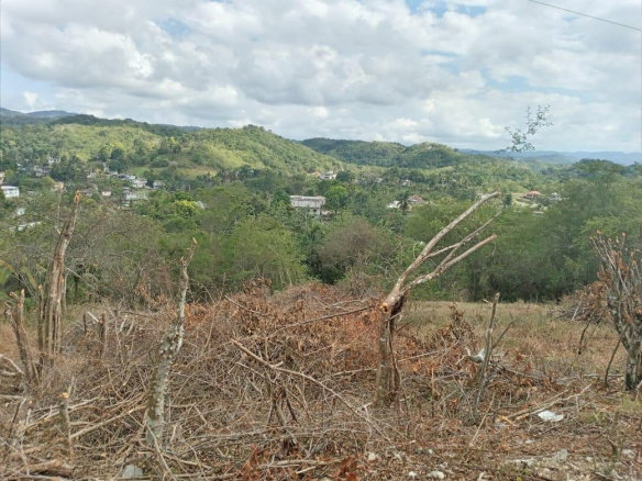 First image of 7 Cotton Tree Heights, Chil in Anchovy, St. James, Jamaica - property is For Sale