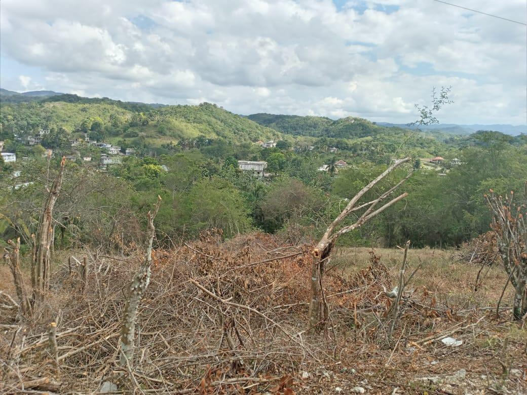 First image of 7 Cotton Tree Heights, Chil in Anchovy, St. James, Jamaica - property is For Sale