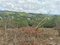 First image of 7 Cotton Tree Heights, Chil in Anchovy, St. James, Jamaica - property is For Sale