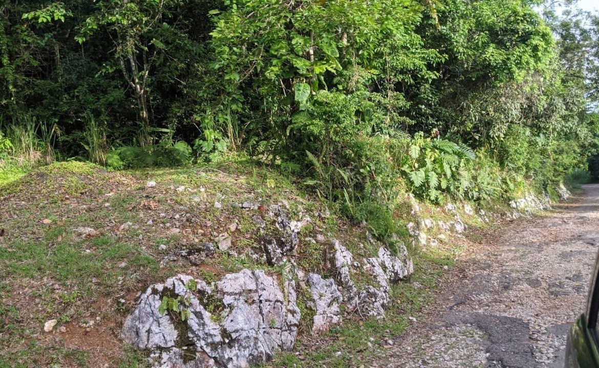 First image of Lot 102 Cooper's Hill in Coopers Hill, St. Andrew, Jamaica - property is For Sale