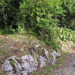 First image of Lot 102 Cooper's Hill in Coopers Hill, St. Andrew, Jamaica - property is For Sale