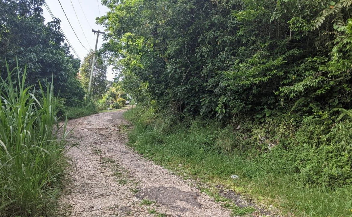 Fourth image of Lot 102 Cooper's Hill in Coopers Hill, St. Andrew, Jamaica - property is For Sale